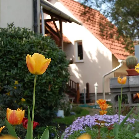 Maya Guest house Eger